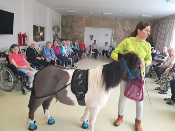 WhatsApp Image 2026-02-26 at 14.59.54