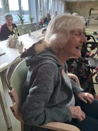 WhatsApp Image 2026-03-09 at 15.53.11