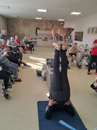 WhatsApp Image 2026-03-09 at 15.53.12