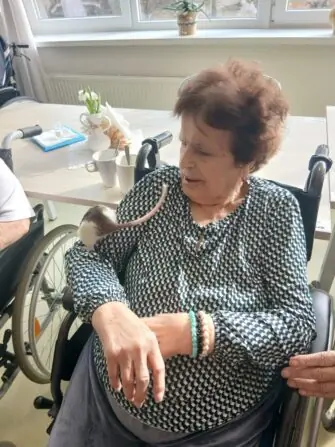 WhatsApp Image 2026-03-09 at 20.27.34