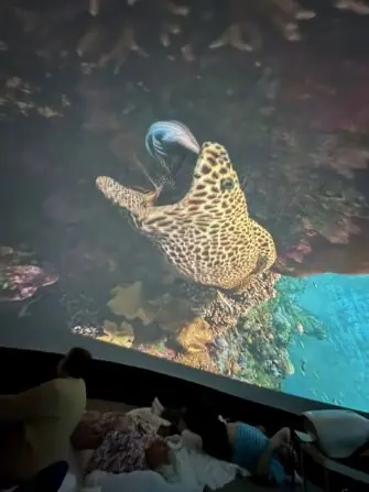 WhatsApp Image 2026-03-24 at 07.05.52