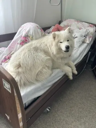 WhatsApp Image 2026-03-30 at 12.58.27.jprrrrreg