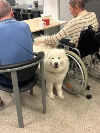 WhatsApp Image 2026-03-30 at 12.58.32.jpegwtrtet