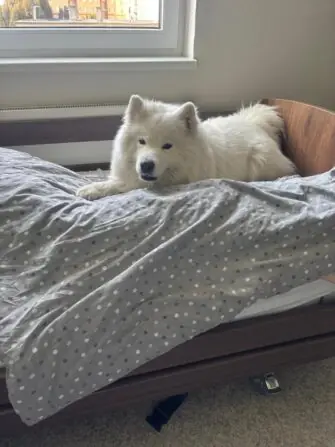 WhatsApp Image 2026-03-30 at 1jjjj2.58.30