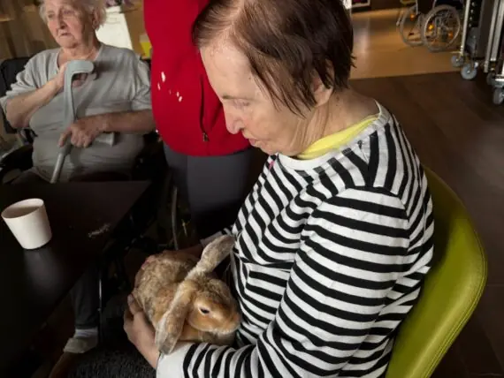 WhatsApp Image 2026-03-31 at 07.09.05