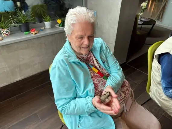 WhatsApp Image 2026-03-31 at 07.09.10 (2)