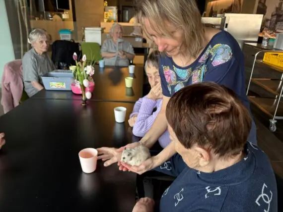 WhatsApp Image 2026-03-31 at 07.09.10 (3)