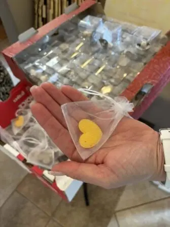 ZŠ Jana Palacha (5)