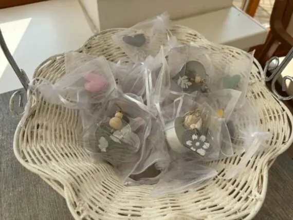 ZŠ Jana Palacha (6)