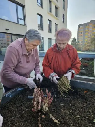 a1b1ee35-644e-422f-92c5-97ed9a506a5a