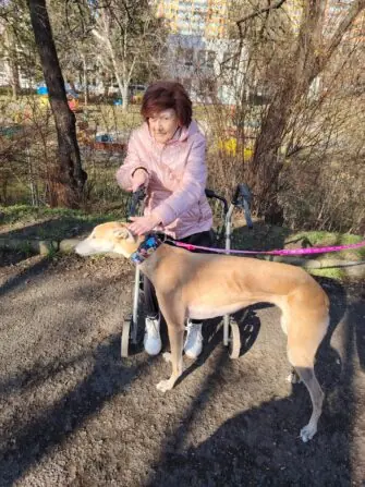 c778ca33-436a-4d3c-badc-efa2c67a766e