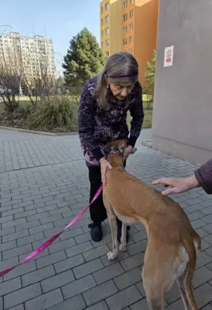 d418b7d1-ca60-4e4c-80fb-9cdfd584b4ae