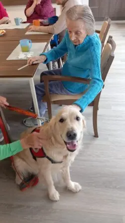 f17f70aa-9b14-4e71-a7f3-142cdbb91336