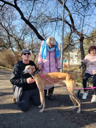 fc9a121c-35fc-49e8-8439-719a0f2ea50d