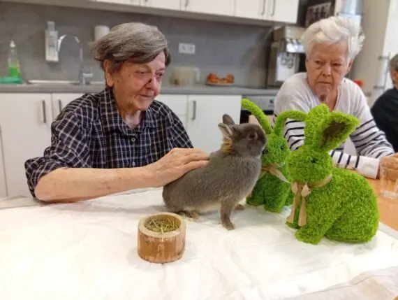 WhatsApp Image 2026-04-02 at 10.28.20