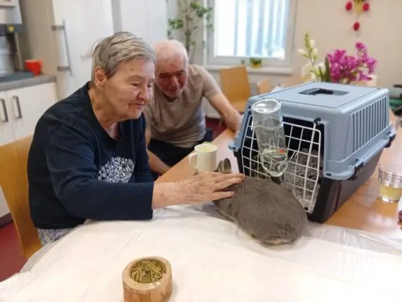 WhatsApp Image 2026-04-02 at 10.28.21 (2)